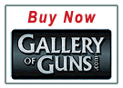 Buy Now 380ACP handgun - Hi-Point Firearms Model CF 380